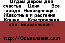 Отдам даром для счастья. › Цена ­ 1 - Все города, Новокузнецк г. Животные и растения » Кошки   . Кемеровская обл.,Березовский г.